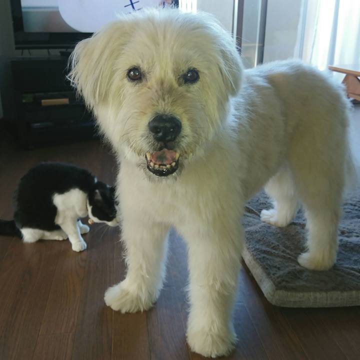 1bf567c7 2b97 4a88 a248 6aa941654a07 1565045188037