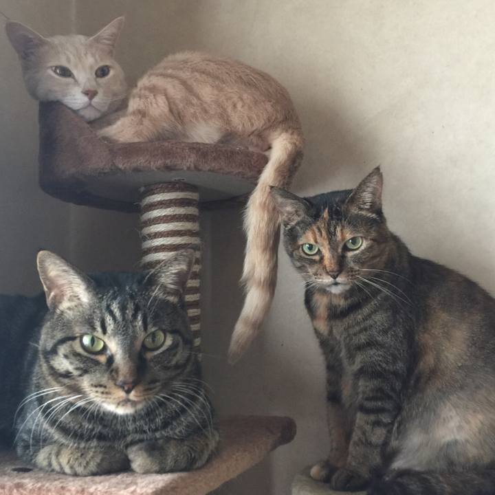 1bf56ea3 965f 48a7 958b 4373ab7570cc 1590909796074