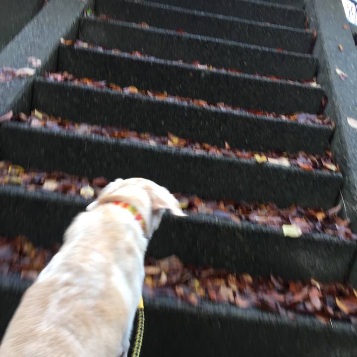 1bf5a111 1b77 45a7 856e ea6f196c9669 1542152383109