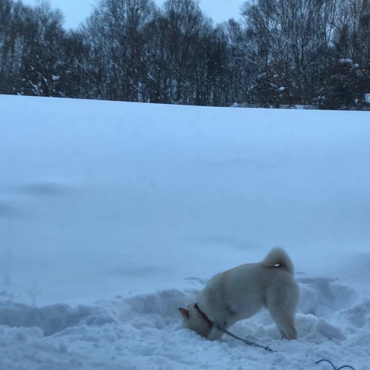 1bf5fa29 62f1 46eb b97d bf5459b25c9a 1532814747552