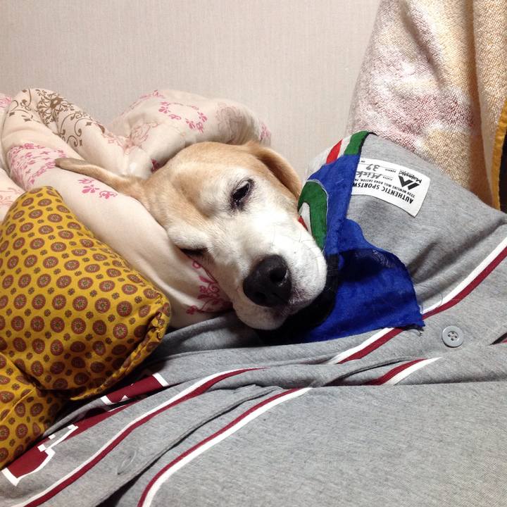 1bf6025c 89e1 4154 abda 9c51d9e37af3 1523368442785