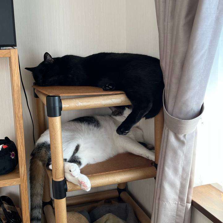 1bf606cf 7dec 495a b899 925a998641d0 1688945261471