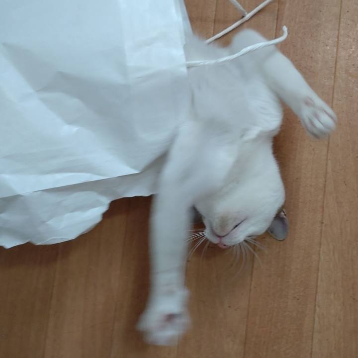 1bf6275d 9e4c 46aa a893 5707cb38b5e8 1651303226802