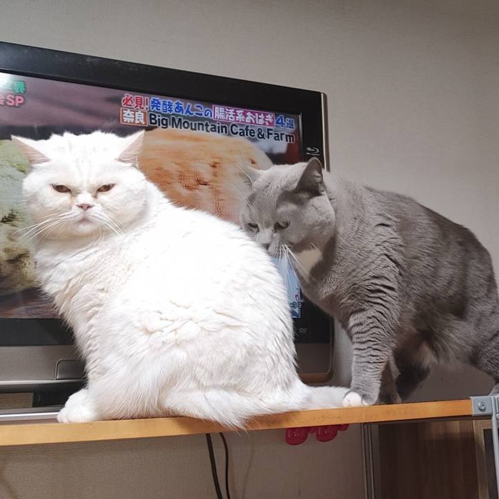 1bf62a70 8873 42ac bd57 422cd27356f7 1705011917069