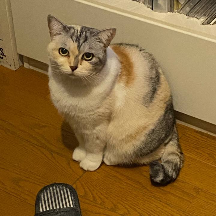 1bf631f8 1e33 4188 b3d9 a1157acaaec3 1667084373653