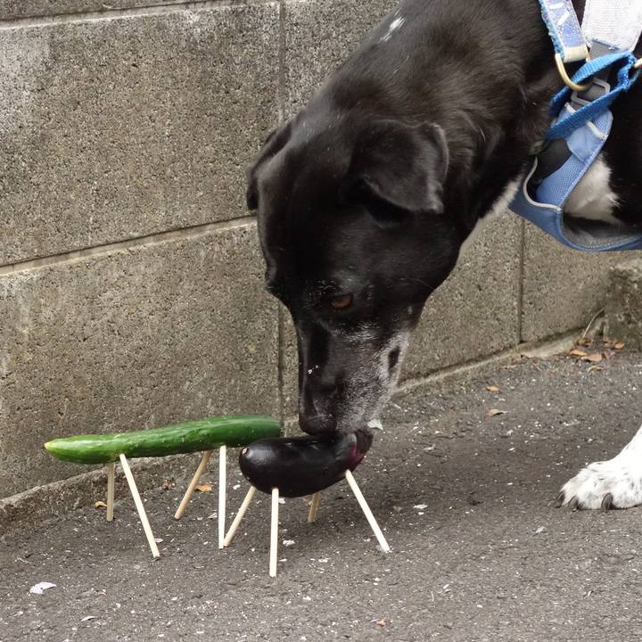 1bf6429a e443 4c72 b668 5d1f6f04a2a2 1722643763306