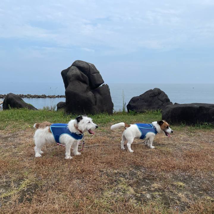 1bf6490c 8735 410b a52d 2b9a36c66c37 1724539418698