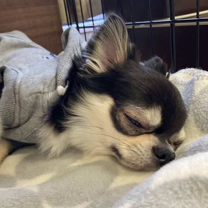 1bf64f5f a1bc 44bb 8984 d65dc280b7d1 1645849083335