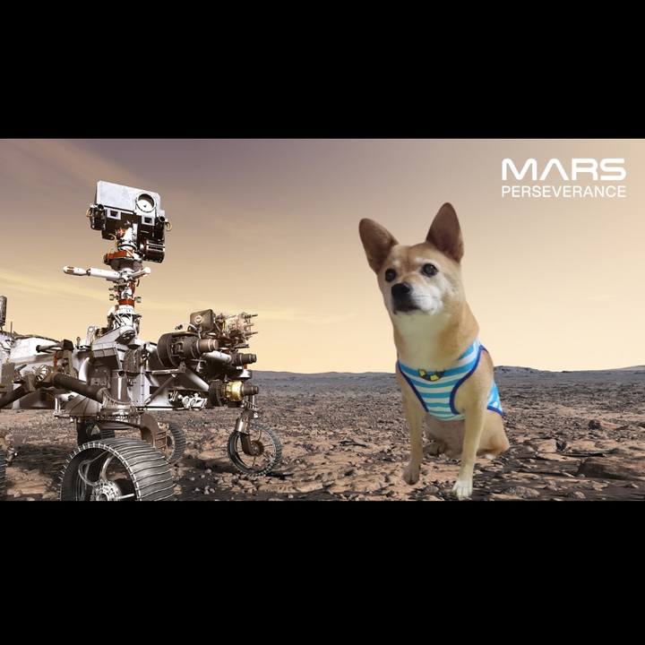 1bf65801 fe60 453d 99b6 57b3ce970586 1614001598837