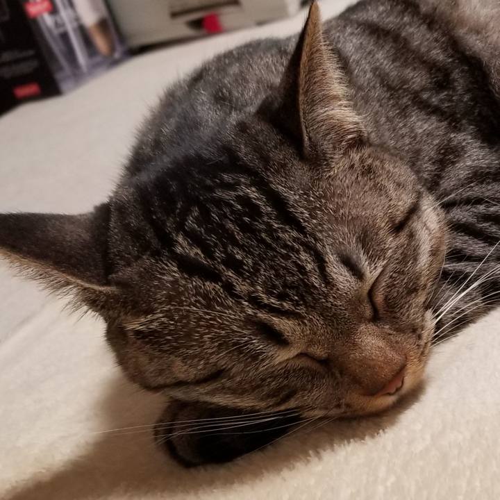 1bf66ef0 be26 420a 994f 5261b97f79e0 1689207130292