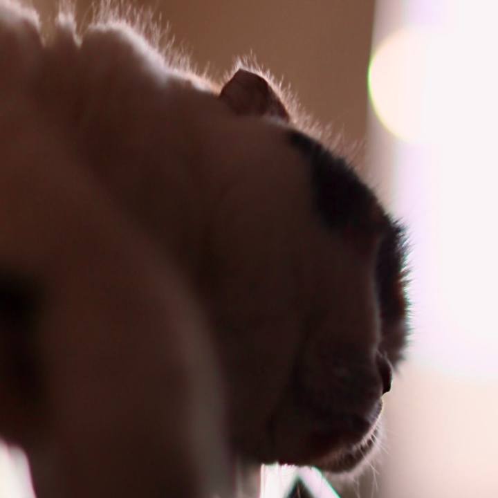 1bf6706a 2abe 4132 8fcc 861b3ec3c6d6 1580171097324