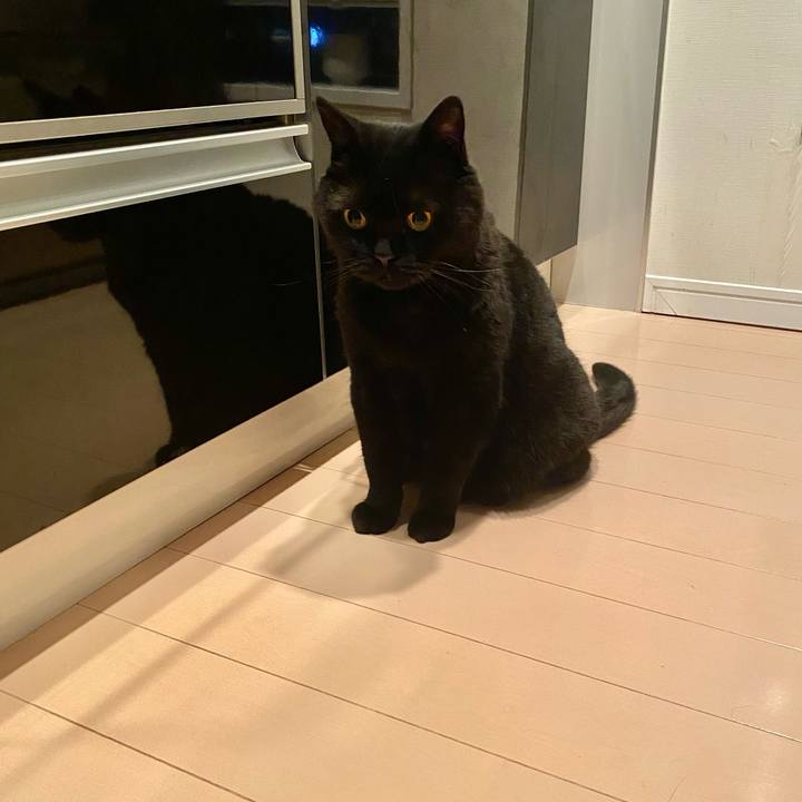 1bf677d6 b6b1 4995 98d1 7b996a33cf83 1750512373730