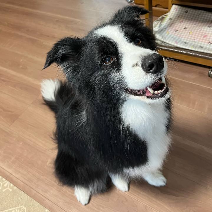 1bf681c0 55cb 4b36 811b a8e10dc88d93 1762081141021