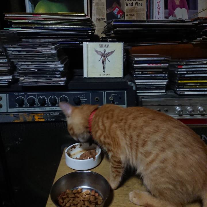 1bf69a47 ec38 4365 8180 9220ffafbaa4 1632313523962