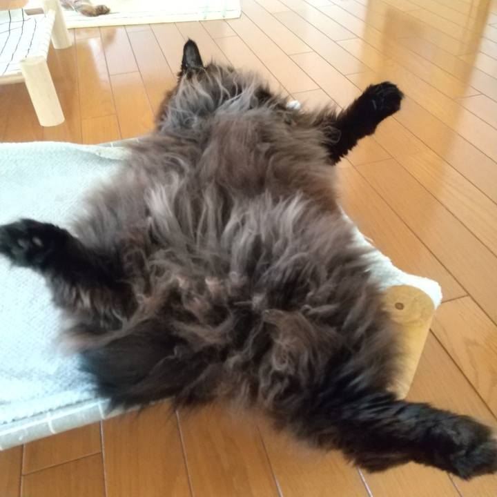 1bf69f18 24e4 474c acf5 2088c9d7f161 1711319543152