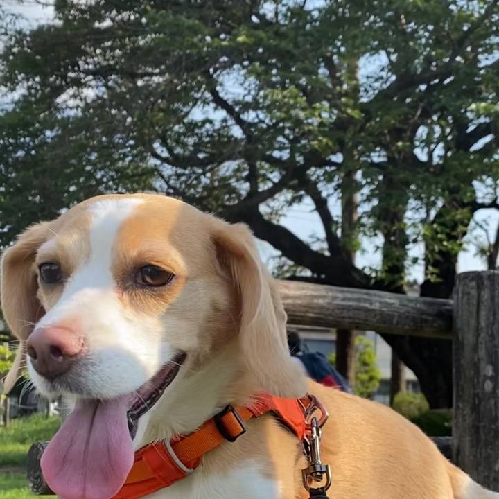 1bf6bb0d 3174 48af 9bda 69cc3626077f 1652945029850