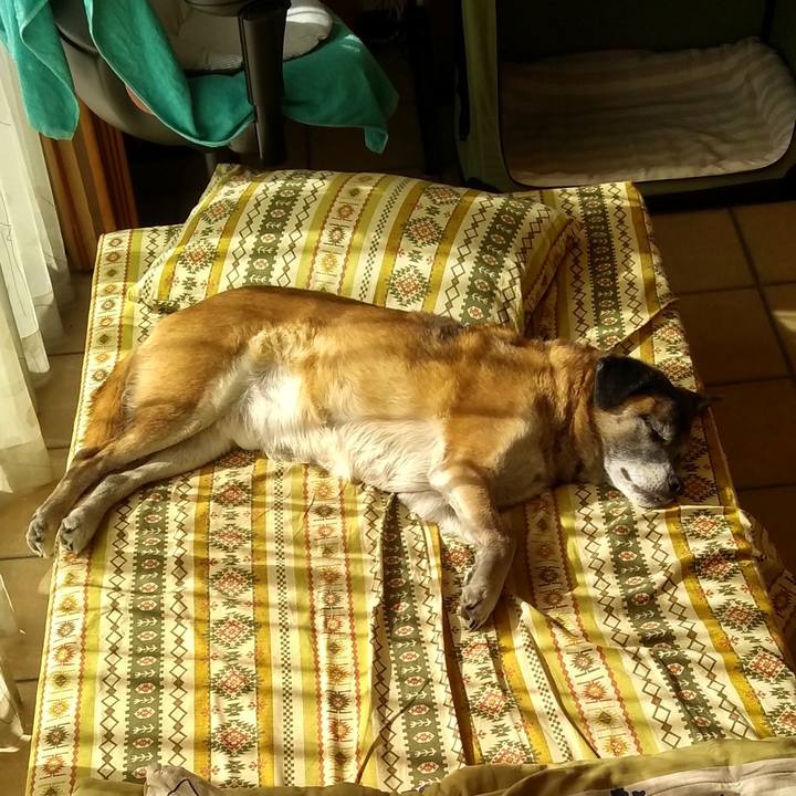 1bf72827 6f7c 4568 8c43 f6078877338d 1548128444392