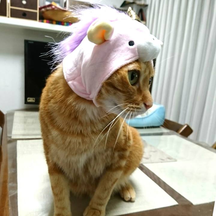 1bf73013 9713 49c0 a752 513985f5c816 1561259632093