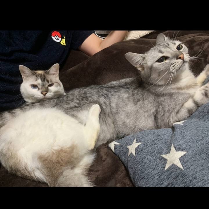 1bf7411b 8b07 4410 bcd8 61972ccdbc6e 1594178270007