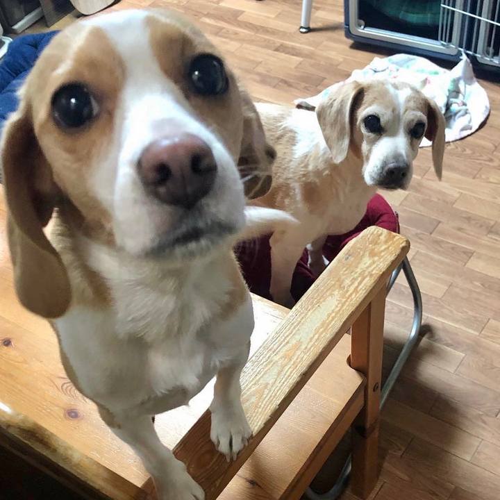 1bf765a6 5702 49fc b4de f4be0c1cfabd 1579531879815