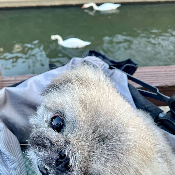 1bf796b4 4e86 4352 b328 b37d454a6a5f 1763413864413