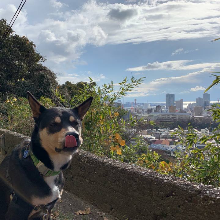 1bf7aba4 3805 4a5e 9420 03527f0029a4 1545962528498