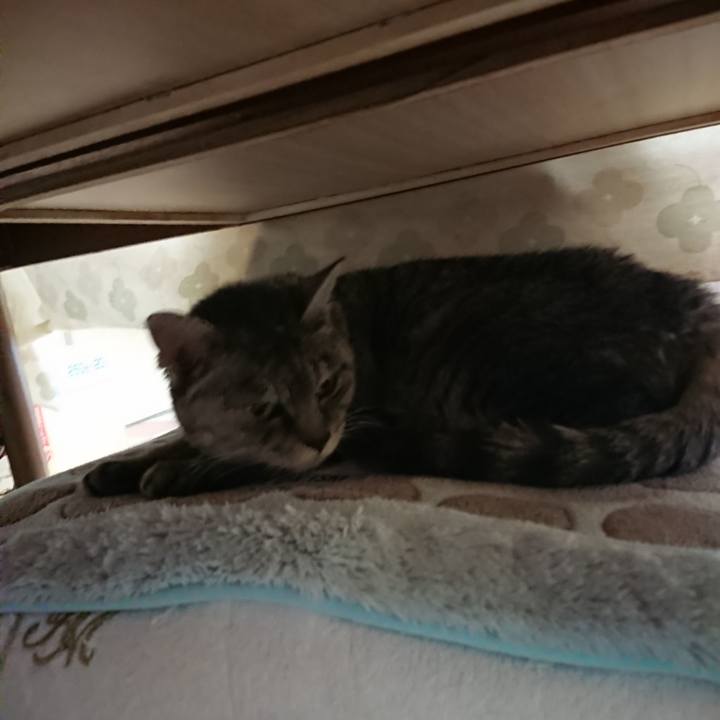 1bf7b043 0f1f 419c ae78 935dc113bd11 1572645965571