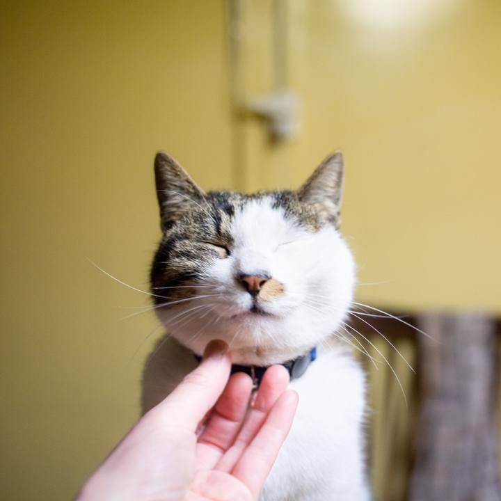 1bf7cfdb 53aa 4d50 a192 1967d9259cf7 1550589656839