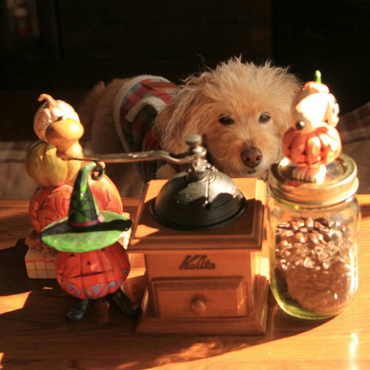 1bf7ed5e 53b2 49d6 82d8 e88055036aad 1635655664546