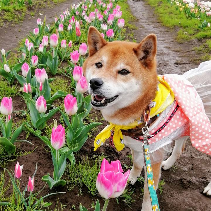 1bf808ca 765e 48f1 bfd2 8f725466c448 1617705663319