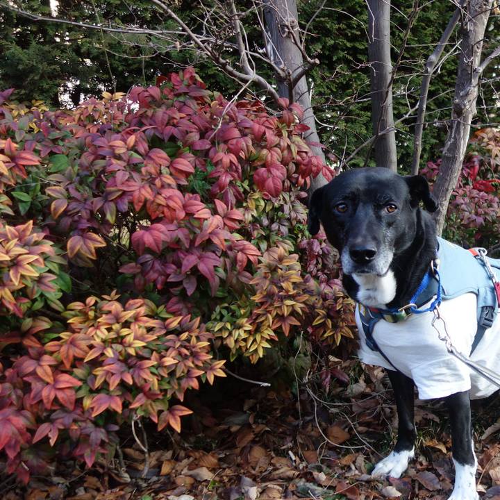 1bf81529 16c9 49ce aea6 9c3c6f63bbd1 1707527792097