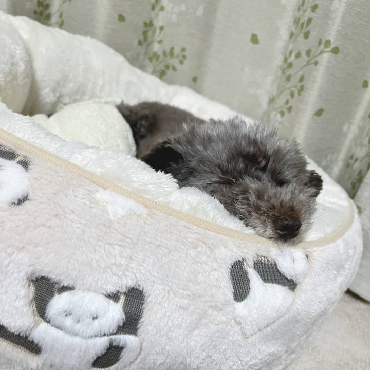 1bf81fd8 4a97 447a 9502 2ab59be7800c 1696594092908