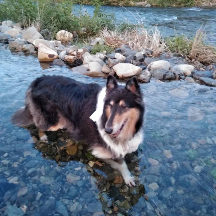 1bf82594 5f3d 4706 9922 dddac5ad9e9f 1533217634427