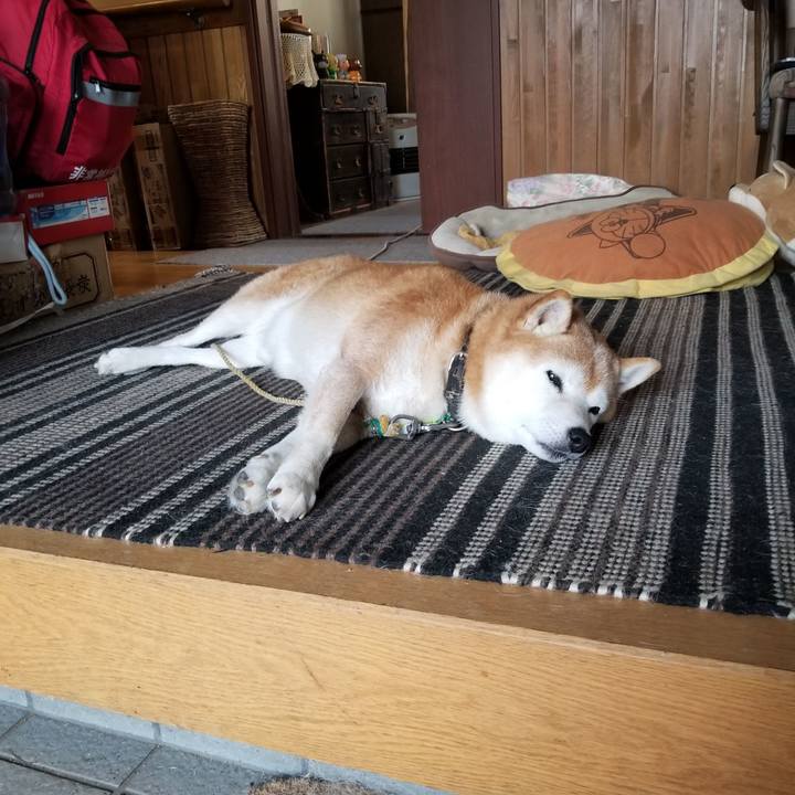 1bf8564f 9934 4e8c 85ab beae60365ff6 1664752258982