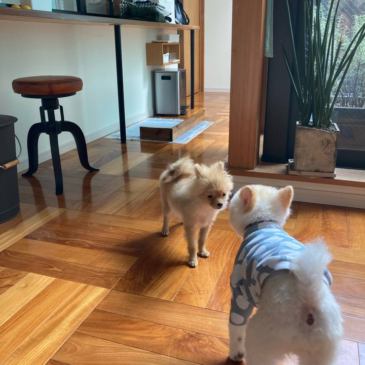 1bf8839a 83a8 4eff af63 5c6018bd4d3c 1640838830424