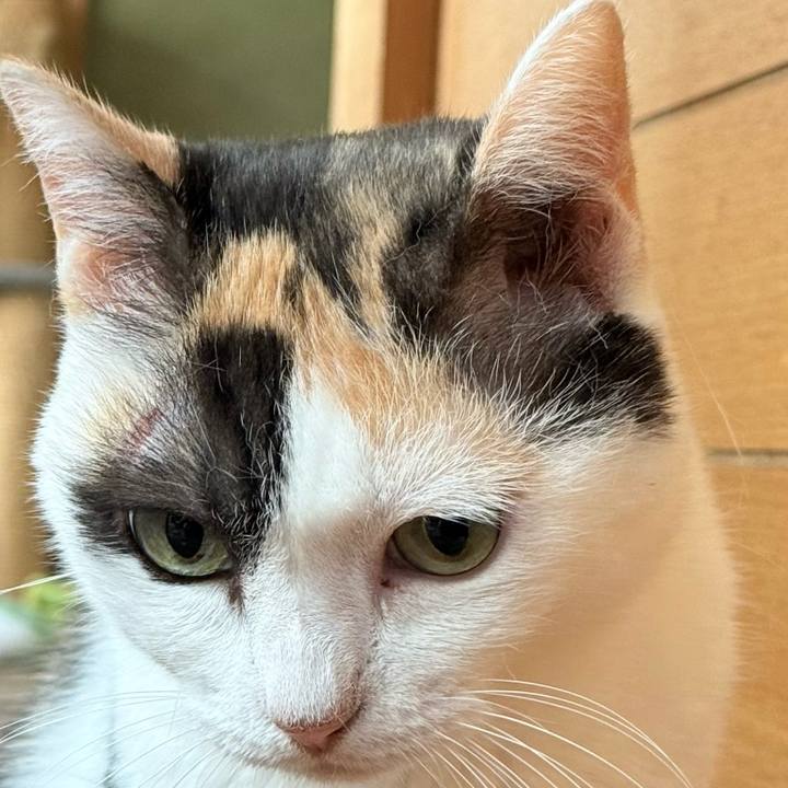 1bf8986f 5d2a 4a3e b6b0 6f321a7d764a 1757123460105