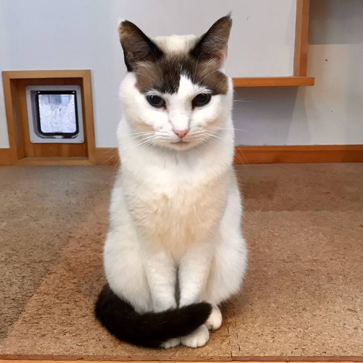 1bf8a218 90f4 494a bdbe af42ee64081c 1607918861911