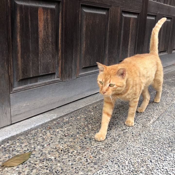 1bf8b9f8 4608 4411 bee5 3db74dca163e 1624784183049