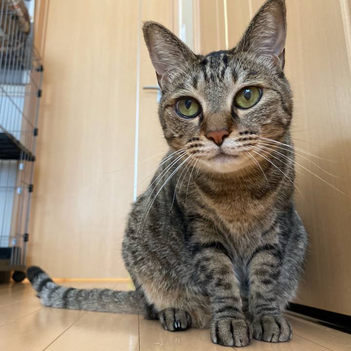 1bf8bf84 dd1a 4e17 af9e 51d73228f7cc 1692396685620