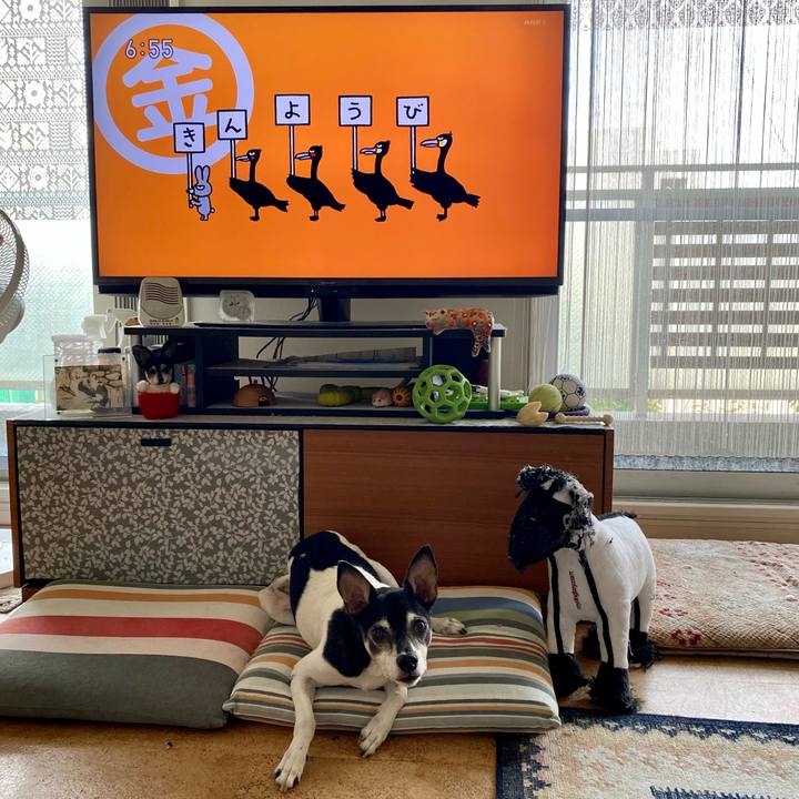 1bf8e58a e161 4d67 bdad 6a700e1aa1d7 1623967287420