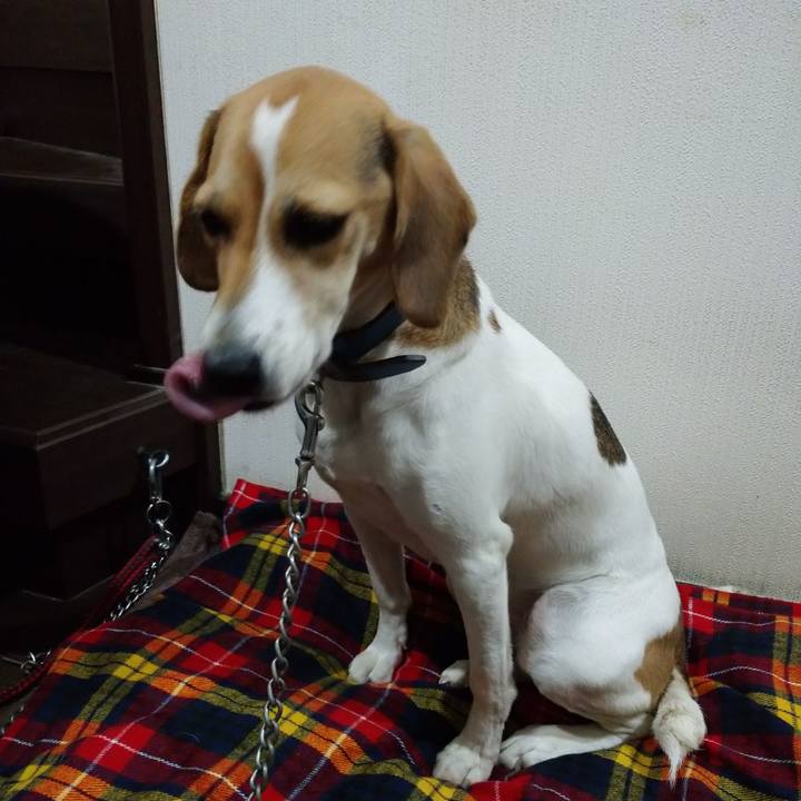 1bf915f5 f5e8 4b1f 885e 4edc78a3dc91 1603977228070