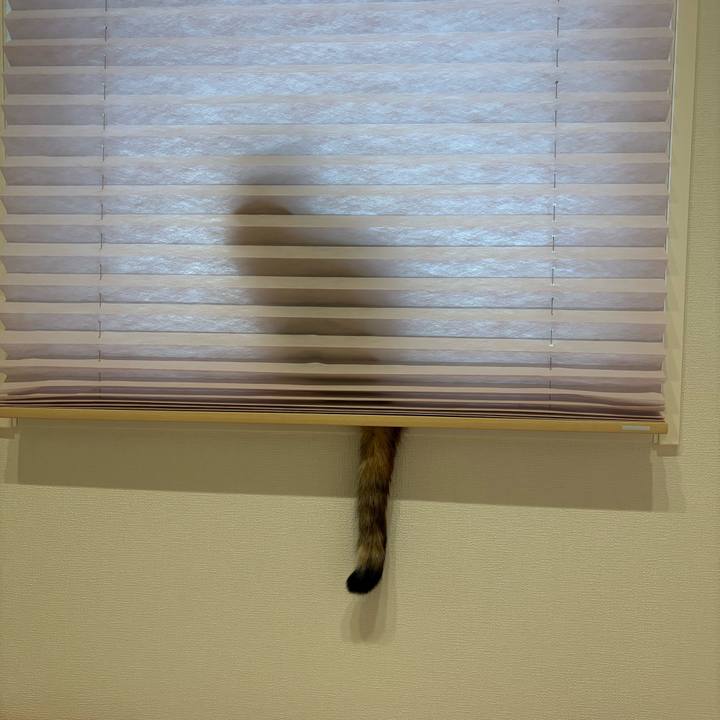 1bf92e32 71e6 4d7b ad5d fc61a677479f 1765262574185