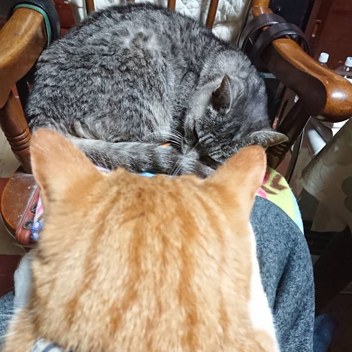 1bf93f3b 763d 4331 9567 0d237406afa8 1575101831453