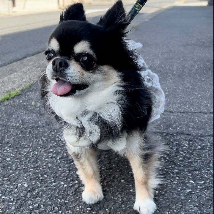 1bf94242 446e 497f 8ba6 9d4eb14736e5 1715927494397