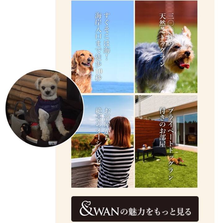 1bf9544d 0f63 4dd8 908a e54f4930917e 1518089474024