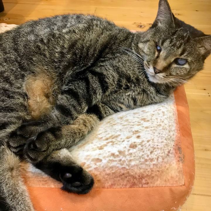 1bf95450 8b8d 4d51 8fda 0c5e2a1f03dc 1601560587271