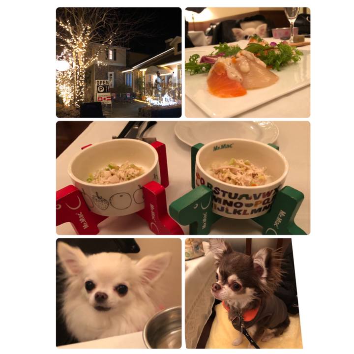 1bf95f7c 81a0 4f14 89f1 28fc1fba454d 1576853155335