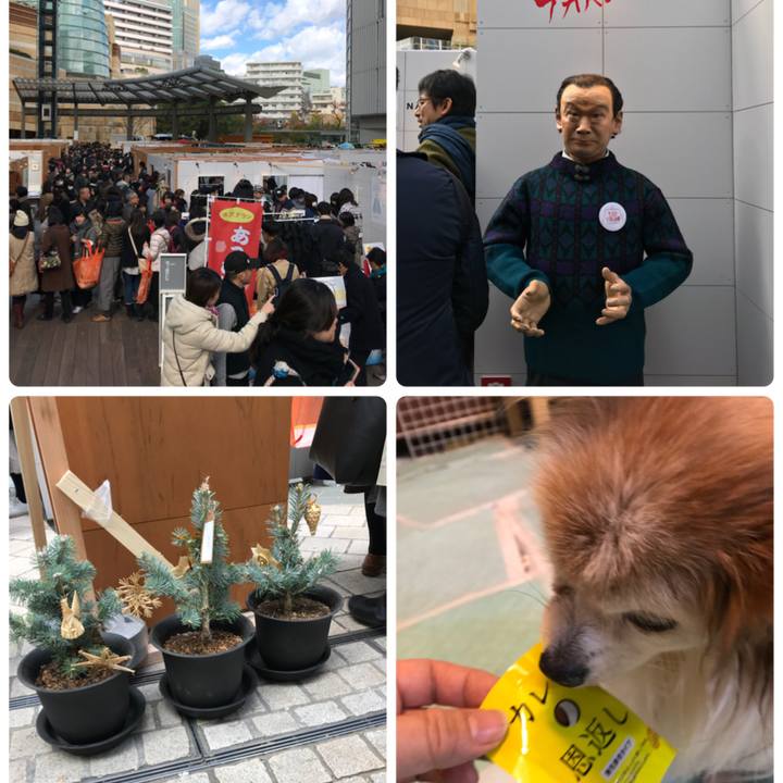 1bf98535 699f 4372 8c8e 2d2ec3e98fa6 1511078366219