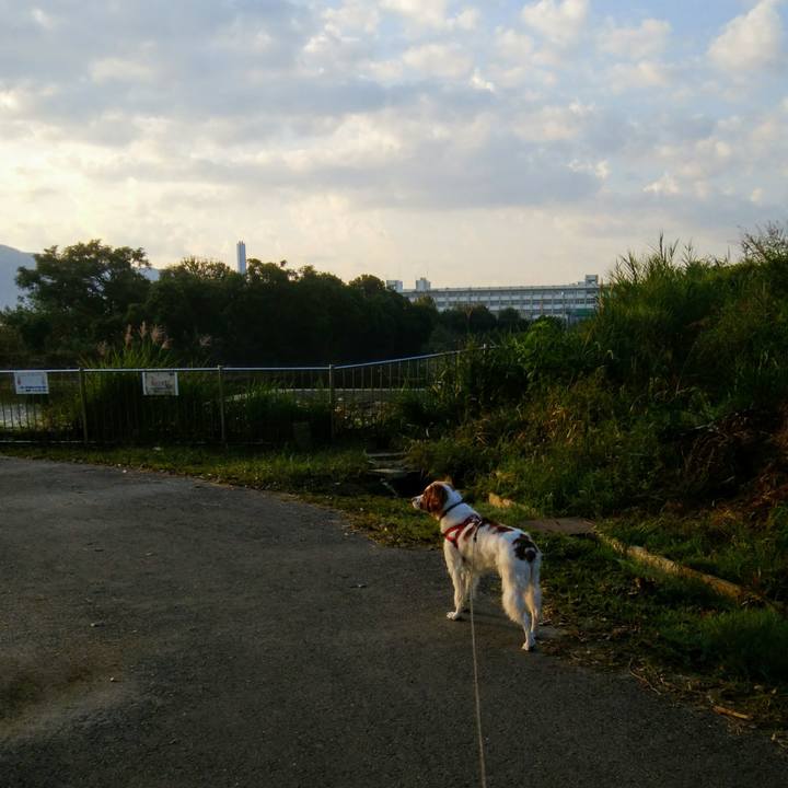 1bf9bd6a d157 401a 8d10 429c7da88147 1539907090148