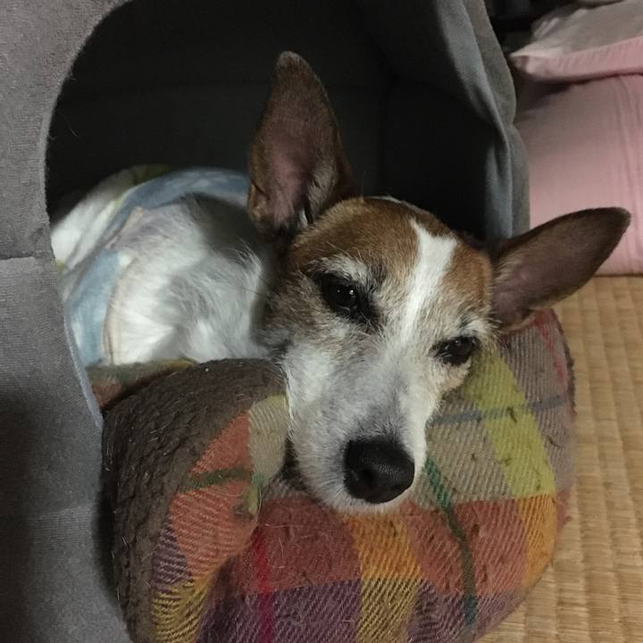 1bf9c965 c0cc 41f4 8e30 cf26cf65bb21 1584051500563